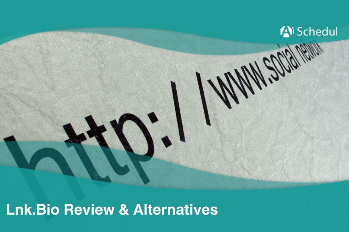 Lnk.Bio review